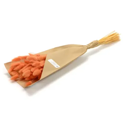 Mazzo lagurus cm 42 arancio