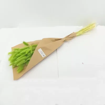 Mazzo lagurus cm 42 verde chiaro
