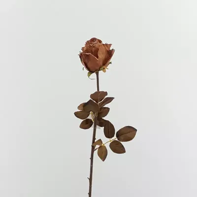 Rosa singola cm.75 rusty