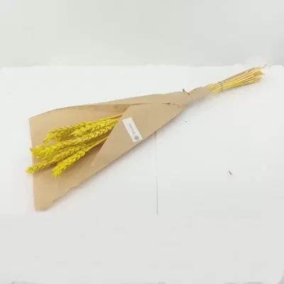 Mazzo triticum cm 42 giallo