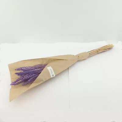 Mazzo triticum cm 42 milka
