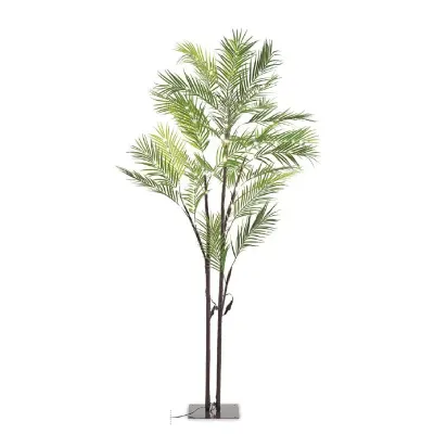Areca con led h.180