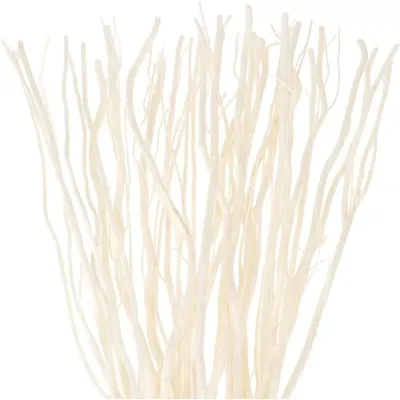 Curly willow cm. 160 (pz.25)