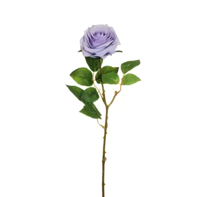 Rosa ecuador cm.65 lavender