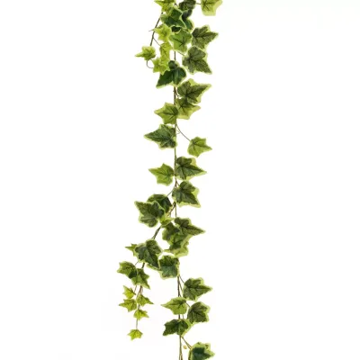 Edera garland cm.180 variegata