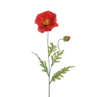 Papavero cm.72 rosso