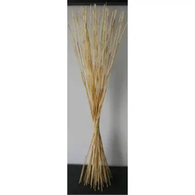 River cane 