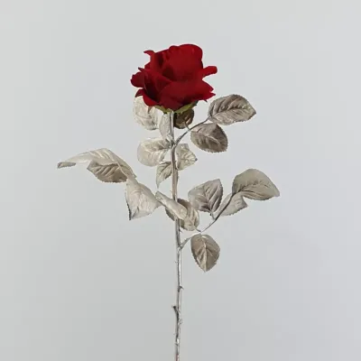 Av-rosa singola cm.67 rosso