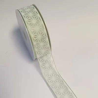 Nastro star pattern mm.25 m.20 menta