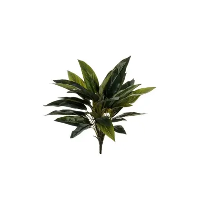 Sv-cordyline cm. 52