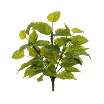Sv-pothos cm. 60