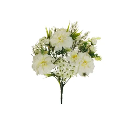 Zinnia mazzo x12 bianco