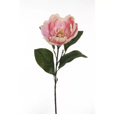 Magnolia ramo  cm.70 rosa