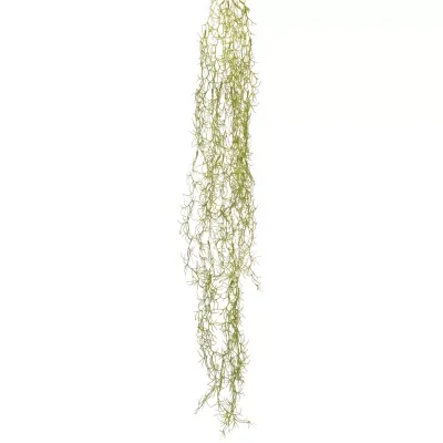 Tillandsia cadente cm.120 verde