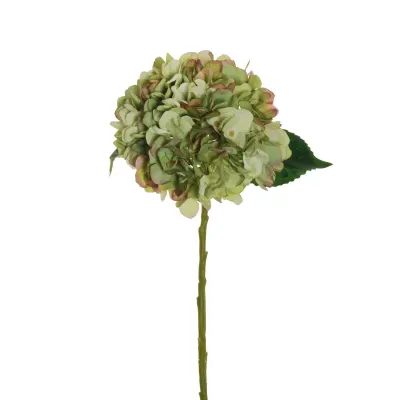 Ortensia juliet ramo cm.50 verde