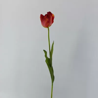 Tuliupano singolo cm.76 rosso