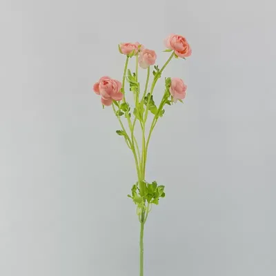 Ranuncolo cm.60 rosa