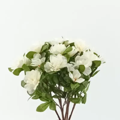 Azalea mazzo cm.40 bianco