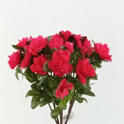 Azalea mazzo cm.40 rosso