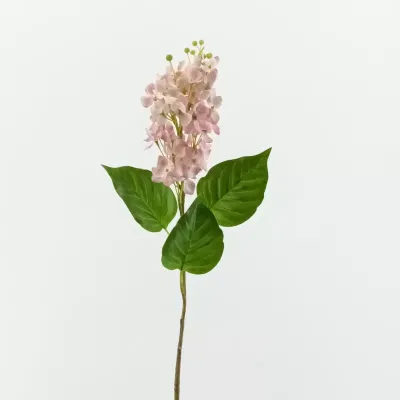 Lillà cm.65 rosa