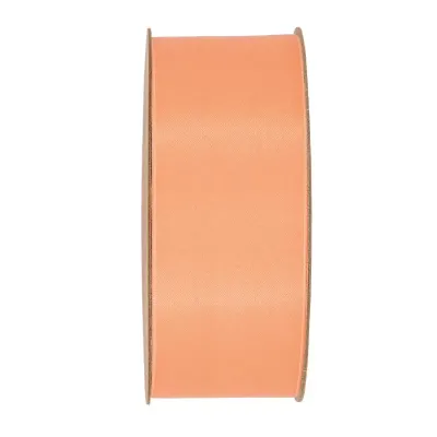 Nastro recyc.pet mm.25 m.20 pesca