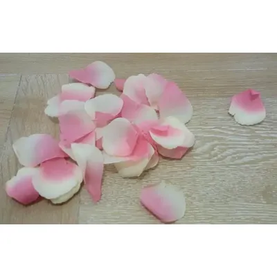 Petali rosa rosa 