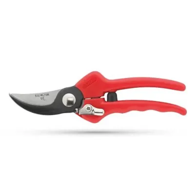 Forbice potatura professionale