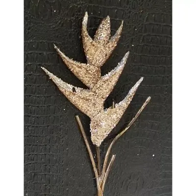 Glitter heliconia cm.060