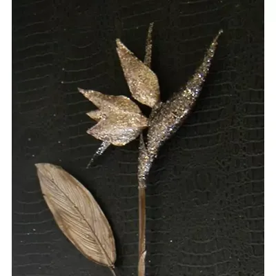 Glitter strelitzia