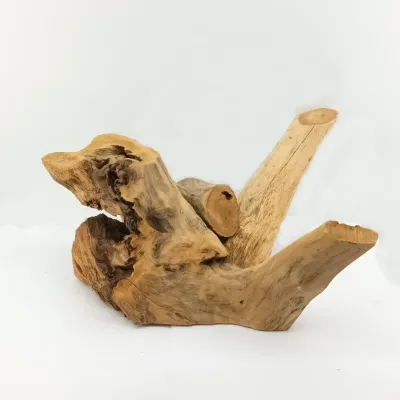 Scultura- -alzatina radici 40x40