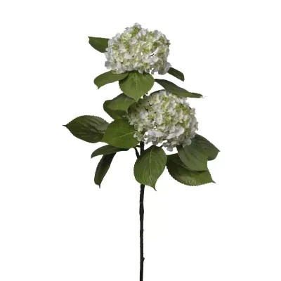 Ortensia ramo cm.80 bianco