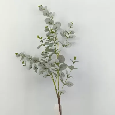 Eucaliptus cm.95 natural