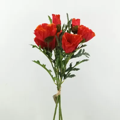 Papavero bundle rosso