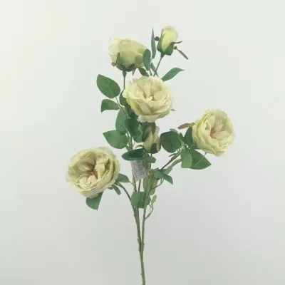 Rosa austin cm.70 verde