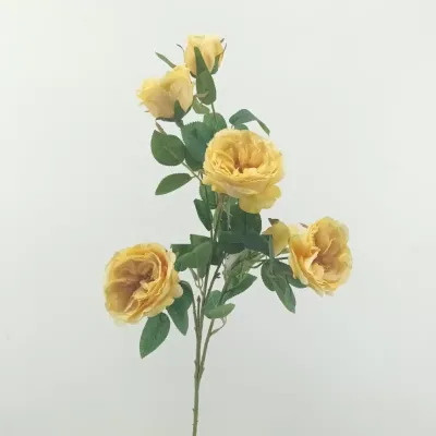 Rosa austin cm.70 giallo