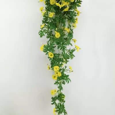 Margherita cadente cm.150 giallo