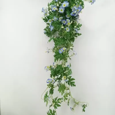 Margherita cadente cm.150 viola