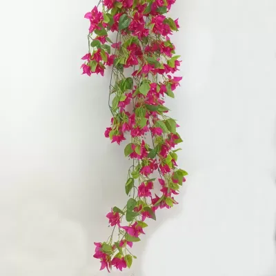 Bougainvillea bush cm.140 fucsia
