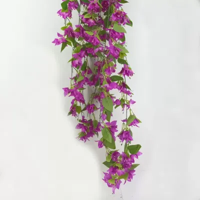 Bougainvillea bush cm.140 viola
