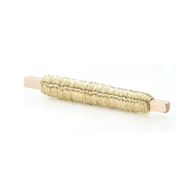 Bp-filo smalt. mm. 0,55 gr.100 champagne