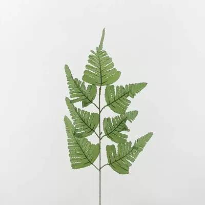 Felce ramo cm. 54 verde
