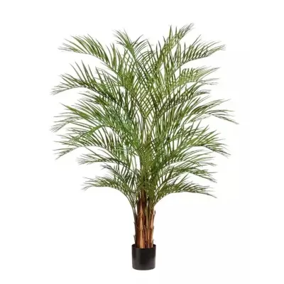 Palma areca h.210 verde