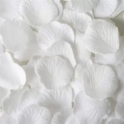 Petali di rosa bianco 500pz