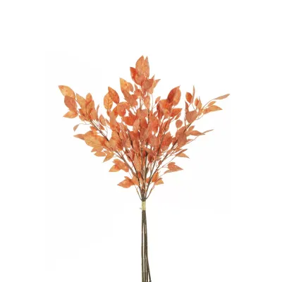 Prunus bundle cm.59 arancione