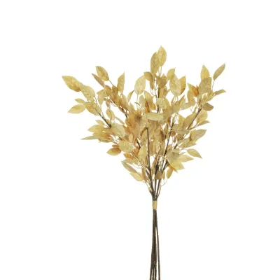 Prunus bundle cm.59 avorio