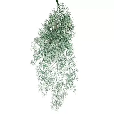 Asparagus cadente cm.79 verde