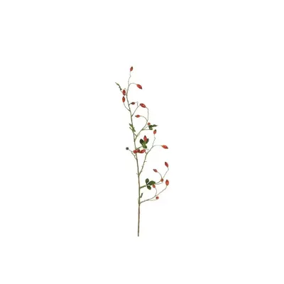 Rosa canina ramo cm.108 rosso