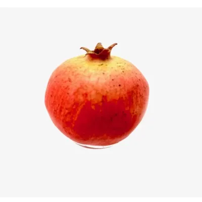 Melograno cm.8,5 arancione