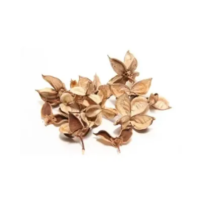 Cotton pods (g.150)