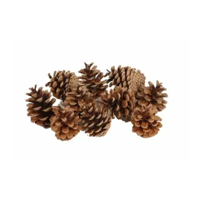 Pigna austriaca natualre 10kg